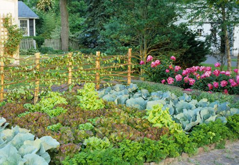 Monet's Vegetable Garden - Buckscountymagazine.com